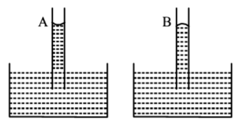 Mechanical Properties of Solids and Fluids mcq option image
